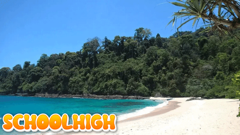 Bingung Mau Tahun Baruan ke Mana? Ini 4 Rekomendasi Tempat Wisata di Banyuwangi