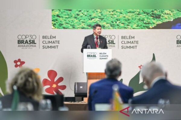 Indonesia mendukung inisiatif Brasil untuk fasilitas hutan tropis