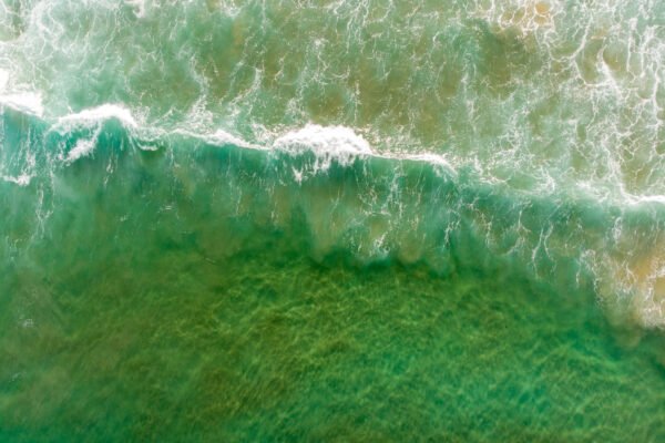 Memajukan komunikasi sains untuk kesehatan planet di Indonesia