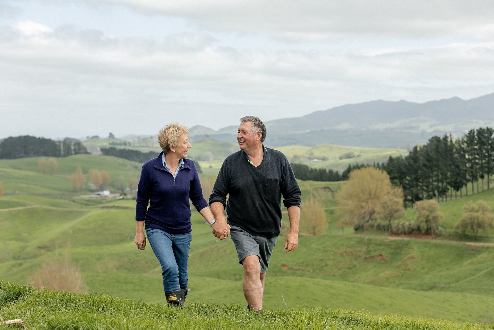 Di mana gaya hidup bertemu dengan mata pencaharian: 5 titik regional yang membentuk pasar properti semi-pedesaan Selandia Baru