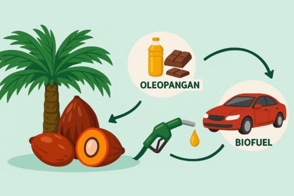 Fakta Terbaru 2025: Minyak Sawit Ramah Lingkungan dan Efisien
