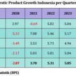 Pembaruan Ekonomi Indonesia: Ekonomi Indonesia Tumbuh sebesar 4,87% (Y/Y) pada Kuartal I-2025