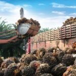 Perbarui: Wasco Greenergy terus memperluas operasinya di tingkat regional meskipun harga sahamnya ditutup di bawah harga penawaran umum perdana (IPO).