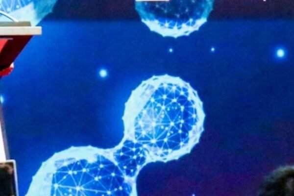 Indonesia mempercepat pengembangan ekosistem hidrogen dan memperkuat kemitraan dengan Jepang.