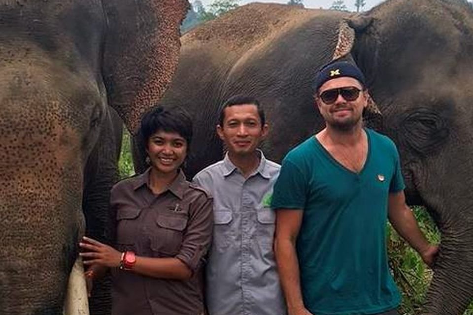 Indonesia mengancam akan melarang Leonardo DiCaprio masuk ke negara tersebut atas kritiknya terhadap perkebunan kelapa sawit.