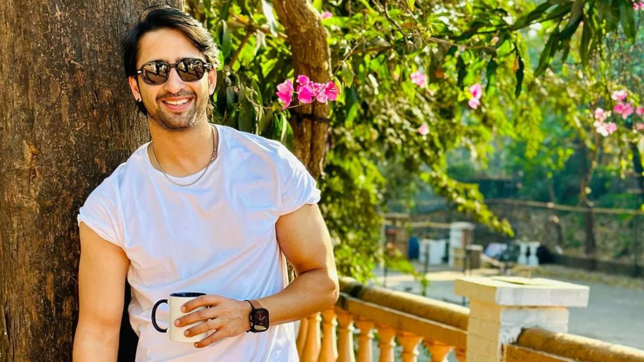 ‘Shah Rukh Khan-nya Indonesia’ Kekayaan bersih Shaheer Sheikh akan membuat Anda tercengang.