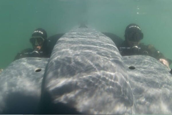 DRASS Mengirimkan Dua Kendaraan Pengiriman Perenang ke Indonesia