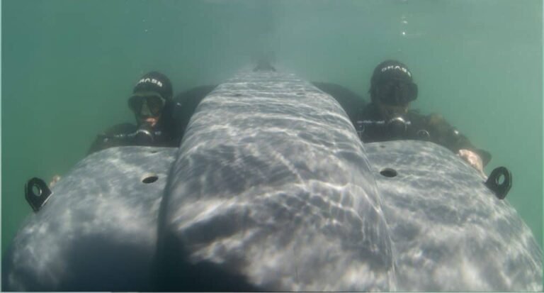 DRASS Mengirimkan Dua Kendaraan Pengiriman Perenang ke Indonesia