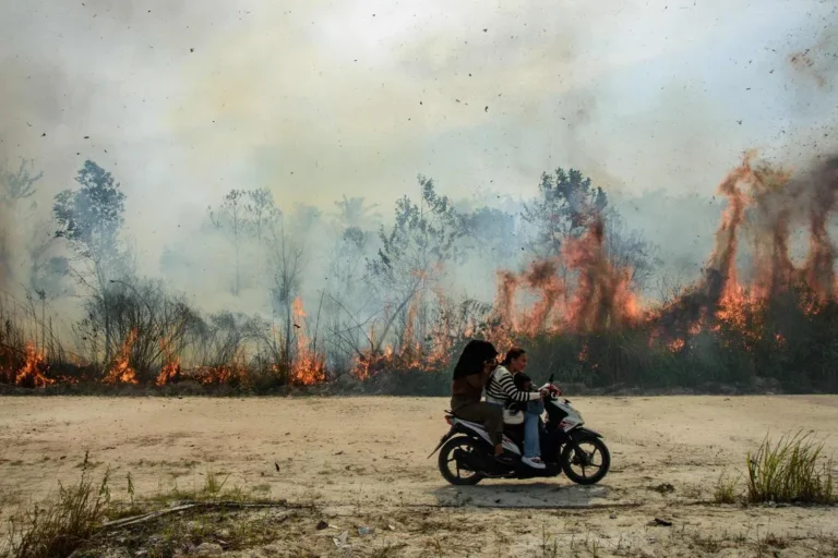 Indonesia siaga tinggi seiring melonjaknya jumlah zona merah dari 94 menjadi 1.000 di Sumatra