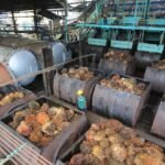 Ekspor Minyak Sawit Mentah Indonesia Melonjak Menjadi $4,69 Miliar