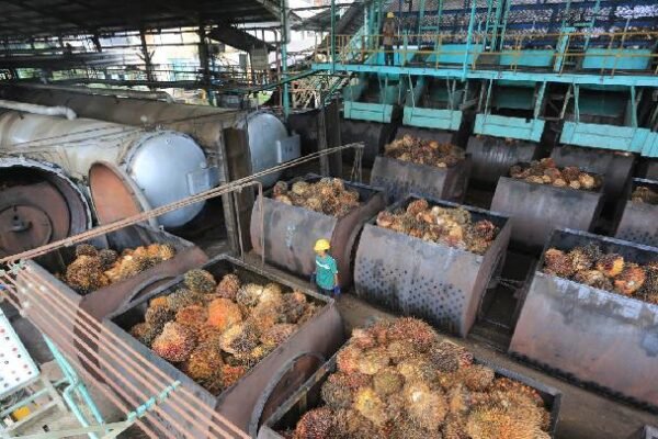 Ekspor Minyak Sawit Mentah Indonesia Melonjak Menjadi $4,69 Miliar