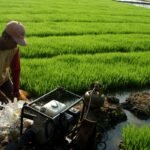 Indonesia memperluas sistem irigasi pompa untuk meningkatkan produktivitas pertanian